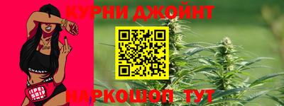 стаф Шелехов